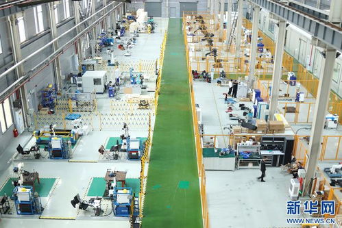 重慶兩江新區 國產工業機器人以技術開發為制造業“強筋健骨”