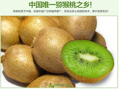 【預(yù)售開啟】2015年度優(yōu)質(zhì)徐香獼猴桃，邀您搶先品嘗金秋碩果