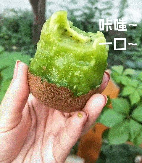 走起！這樣的采摘游玩樂趣千萬別錯過——獼猴桃采摘基地合集